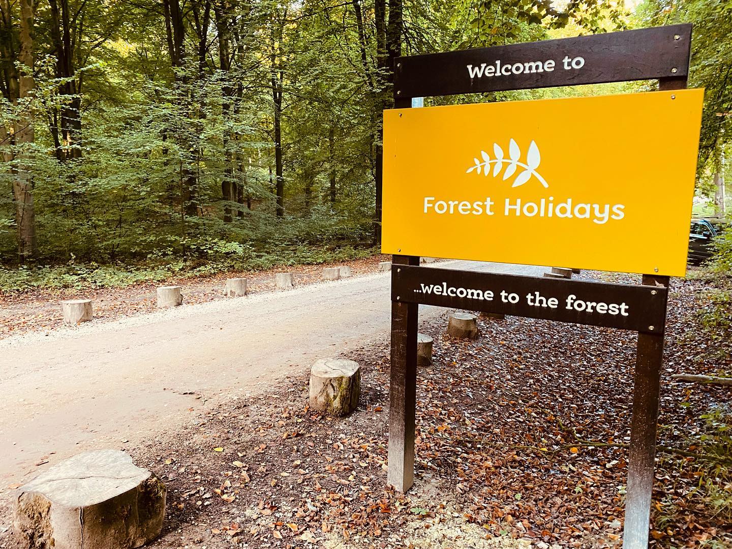 Case Study - Forest Holidays